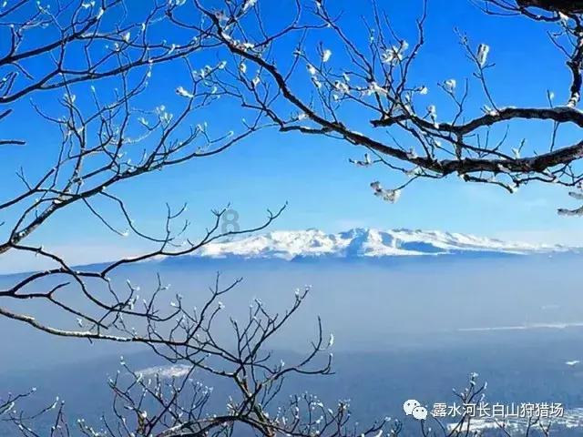 绘画英语怎么读-问题是种子,知识是花朵